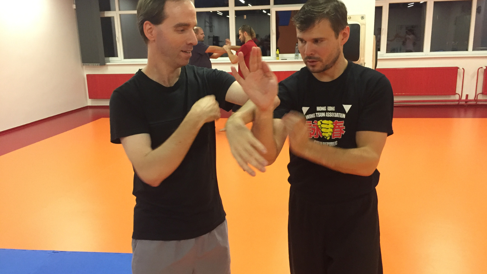 Wing Tsun – práce rukou a principy